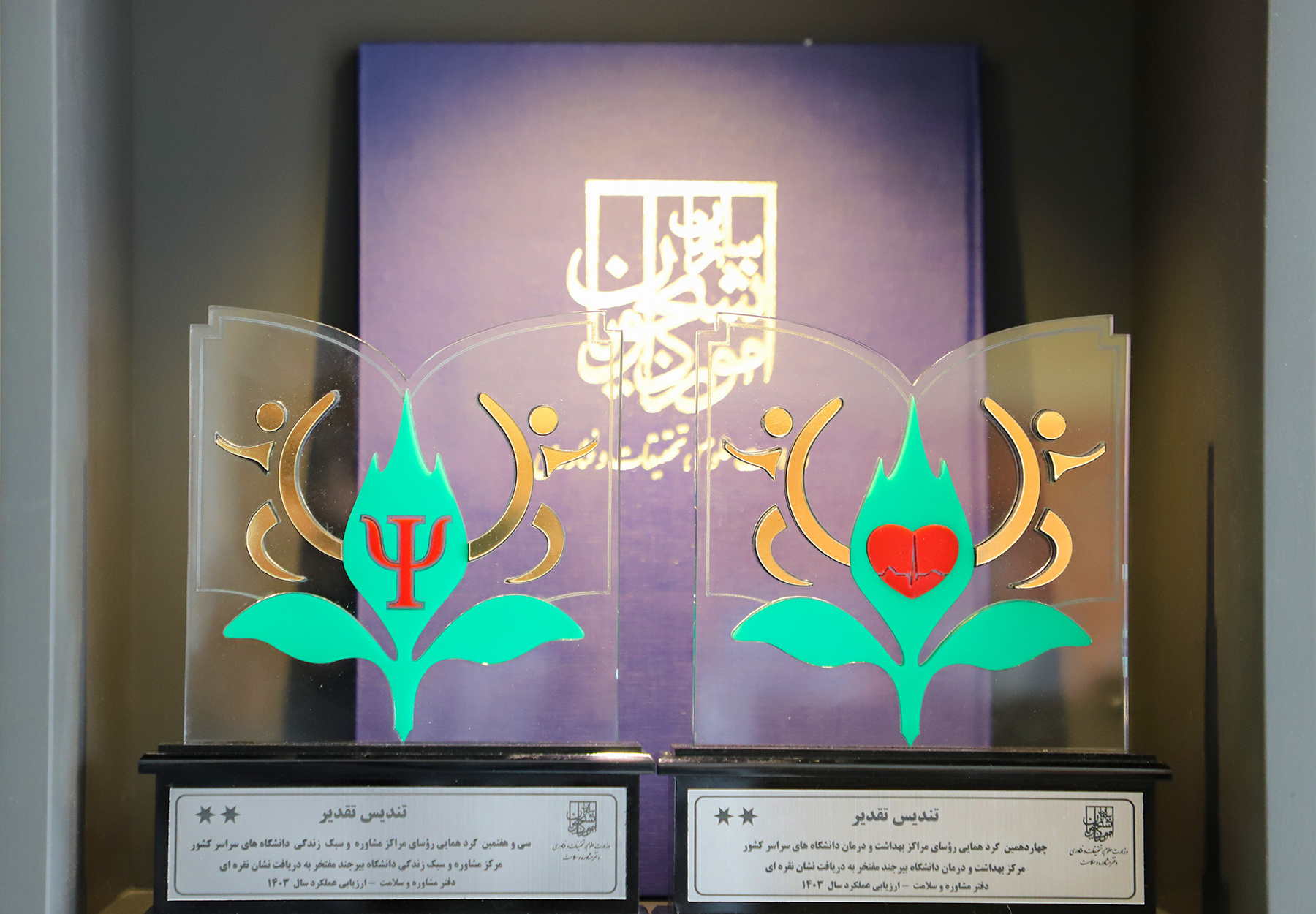 کسب نشان ملی نقرهای توسط اداره بهداشت و مرکز مشاوره دانشگاه بیرجند