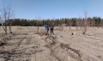 جهش در نگهداری و توسعه علمی فضای سبز دانشگاه بیرجند در سال ۱۴۰۴